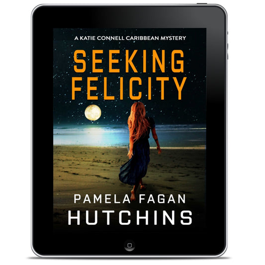 Seeking Felicity (Katie Connell #4): Ebook