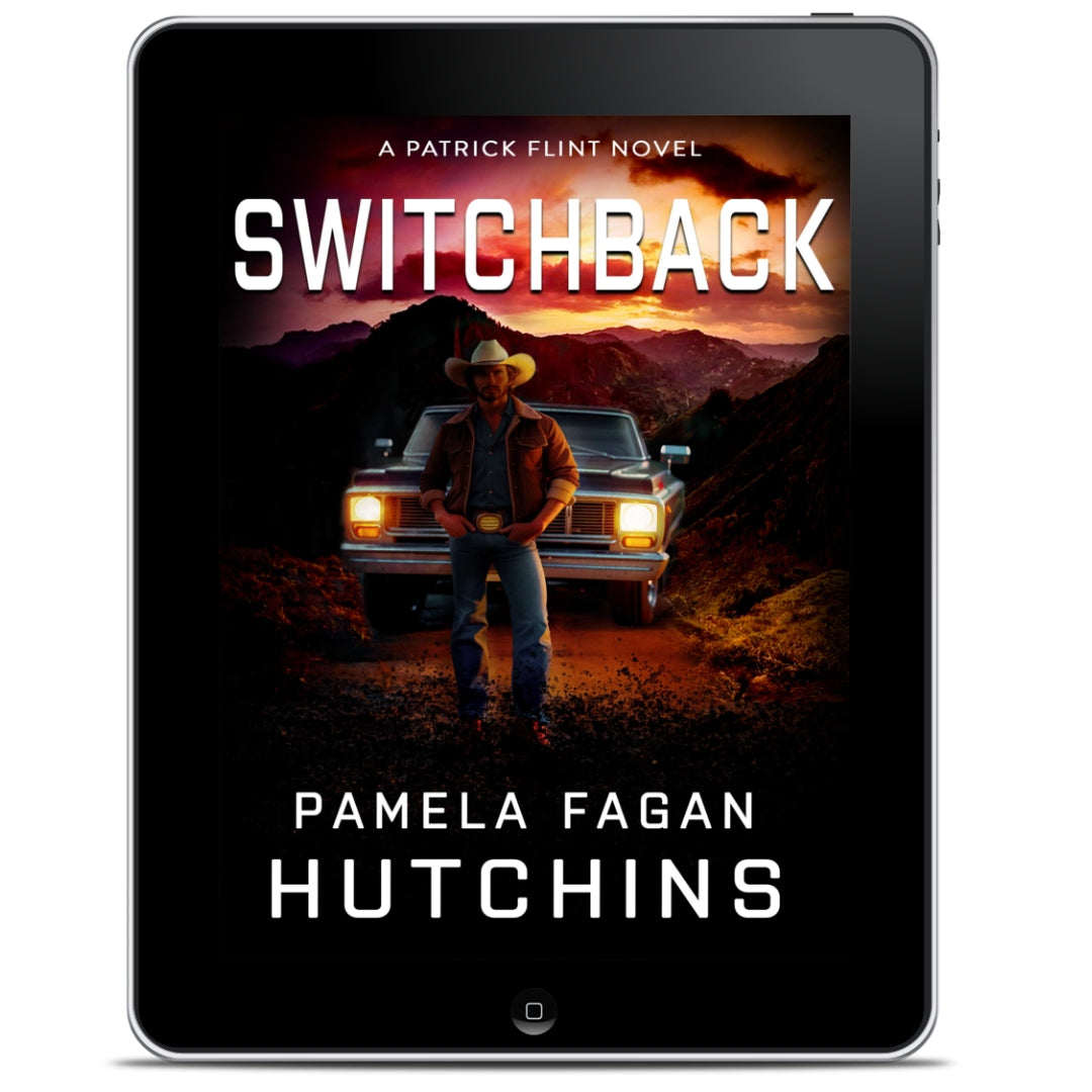 Switchback (Patrick Flint #1): Ebook